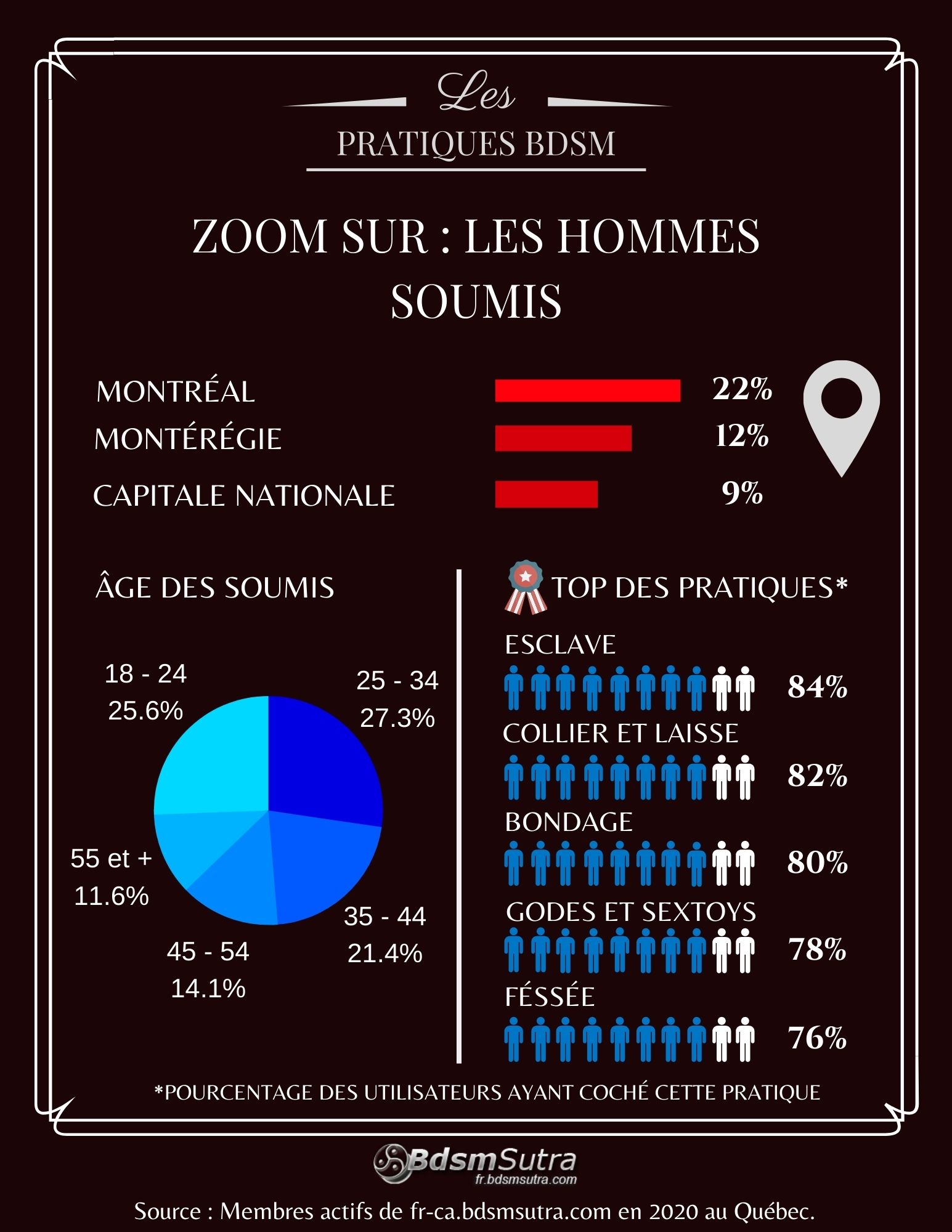 Infographie BDSM 2020 : hommes soumis 